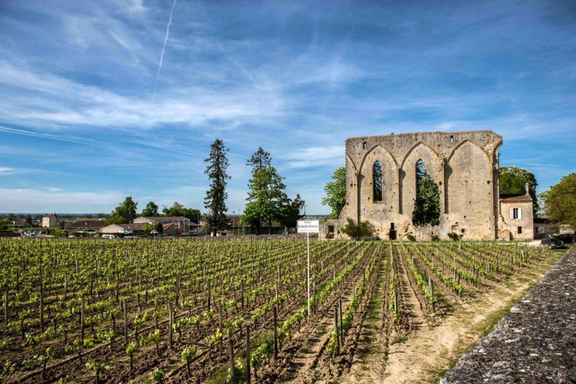 Maison Cosy Avec Vue Sur Les Vignes. Либурн Экстерьер фото
