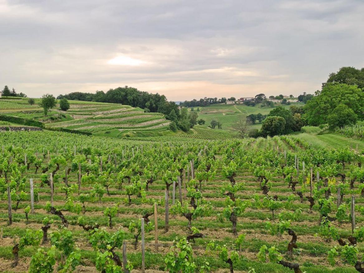 Maison Cosy Avec Vue Sur Les Vignes. Либурн Экстерьер фото
