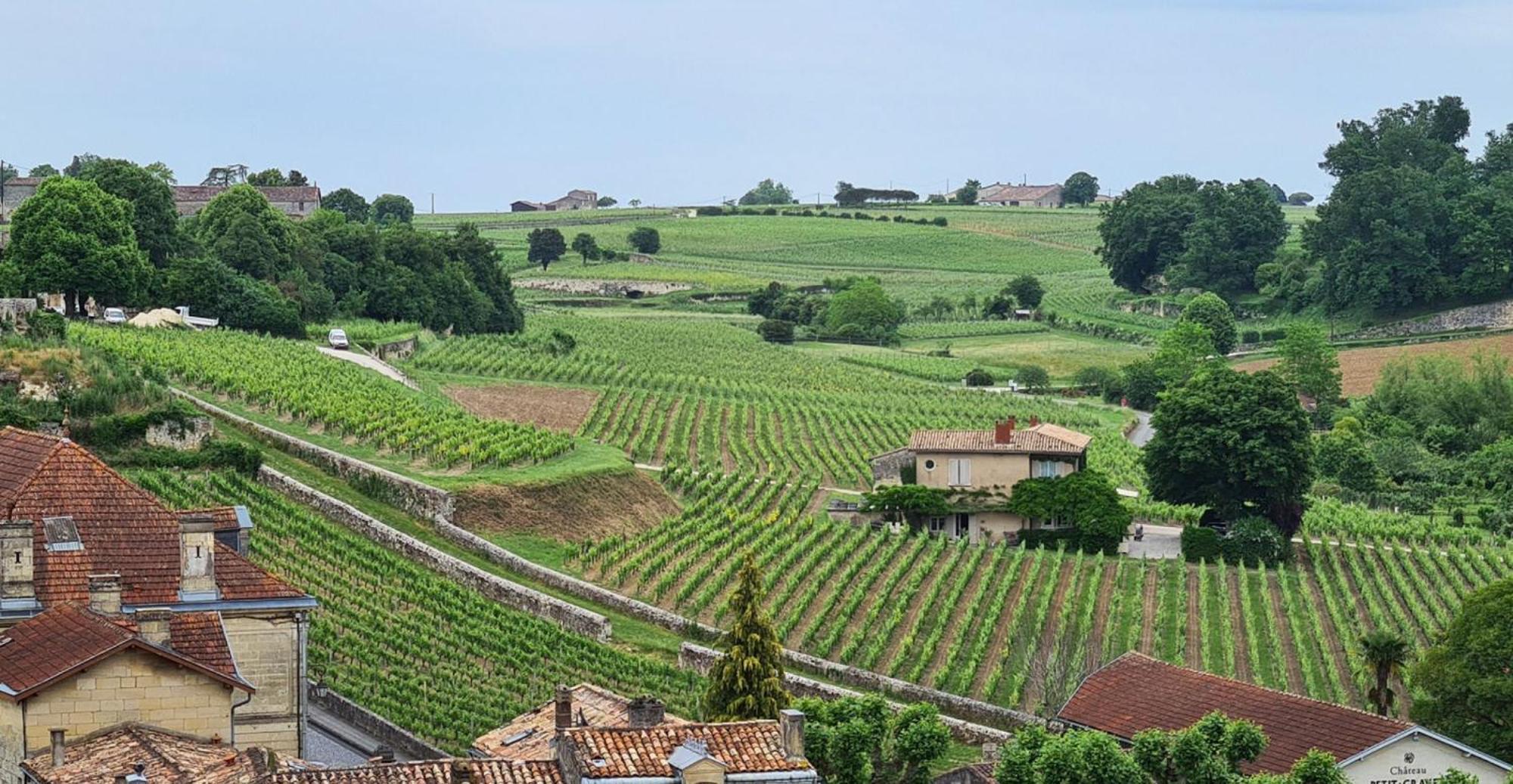 Maison Cosy Avec Vue Sur Les Vignes. Либурн Экстерьер фото